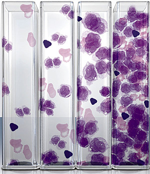 Cryo-Cell - Células Progenitoras Hematopoyéticas