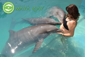Blog-mayaKay