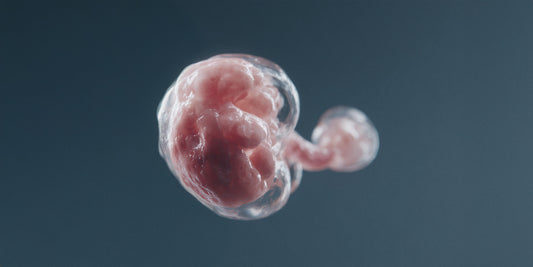 Prueba No Invasiva Prenatal (NIPT)